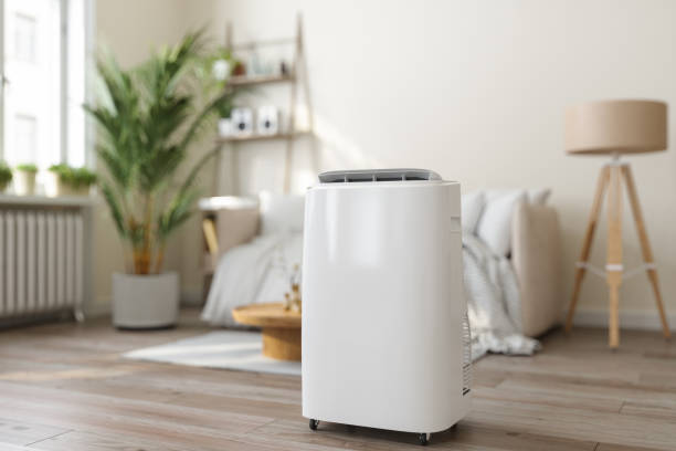 Best Air Filters and Purifiers in Newport, WA